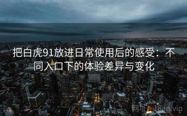 把白虎91放进日常使用后的感受：不同入口下的体验差异与变化