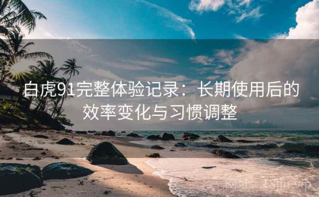 白虎91完整体验记录：长期使用后的效率变化与习惯调整