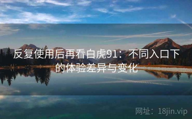 反复使用后再看白虎91：不同入口下的体验差异与变化