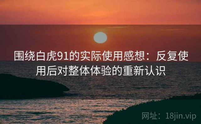 围绕白虎91的实际使用感想：反复使用后对整体体验的重新认识
