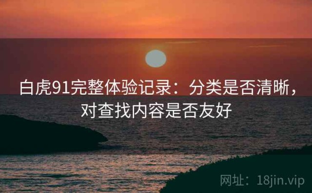 白虎91完整体验记录：分类是否清晰，对查找内容是否友好