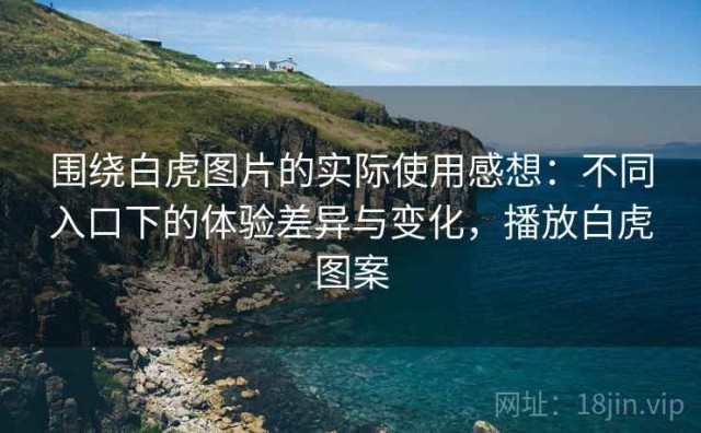 围绕白虎图片的实际使用感想：不同入口下的体验差异与变化，播放白虎图案