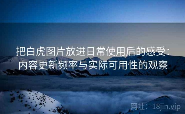 把白虎图片放进日常使用后的感受：内容更新频率与实际可用性的观察