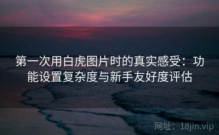 第一次用白虎图片时的真实感受：功能设置复杂度与新手友好度评估