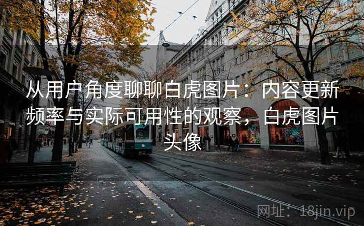 从用户角度聊聊白虎图片：内容更新频率与实际可用性的观察，白虎图片头像