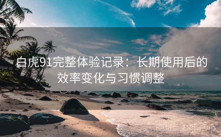 白虎91完整体验记录：长期使用后的效率变化与习惯调整
