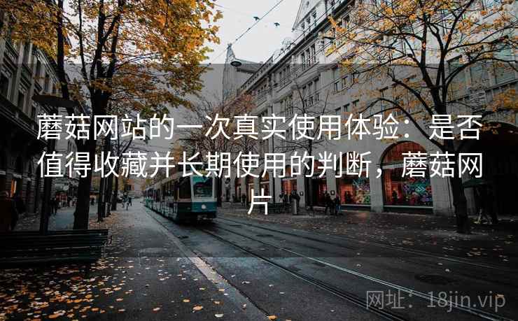 蘑菇网站的一次真实使用体验:是否值得收藏并长期使用的判断,蘑菇网片 蘑菇网站的一次真实使用体验:是否值得收藏并长期使用的判断,蘑菇网片